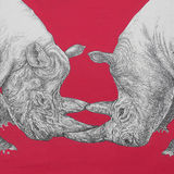 Rhinos Fighting