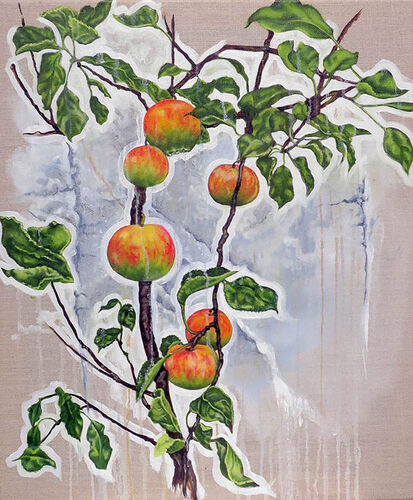 Apples Growing on a White Wall