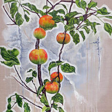 Apples Growing on a White Wall