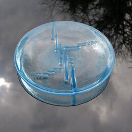 tranquility dish