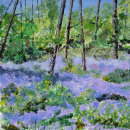Bluebell Wood
