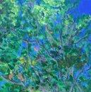 Canopy II