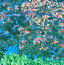 Canopy VII