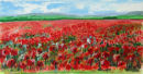 Poppy Field SOLD