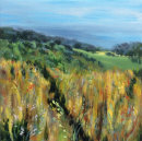 Somerset Meadows