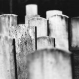 community #4