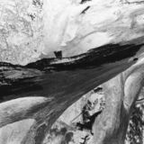 abstract black and white photographic art of tree stumps at bottom of drained reservoir at Waterloo, Ontario
