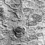 tortured landscape #2