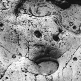 watching / water & rock