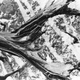 abstract black and white photographic art of tree stumps at bottom of drained reservoir at Waterloo, Ontario