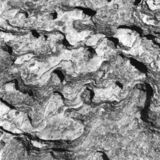 abstract black and white photographic art of rock structures on the island of Sifnos, Greece