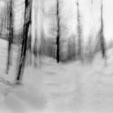 black and white photographic art using ICM and a swing-lens camera in a winter forest in Waterloo, Ontario, Canada