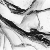 abstract black and white photographic art of tree stumps at bottom of drained reservoir at Waterloo, Ontario