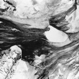 abstract black and white photographic art of tree stumps at bottom of drained reservoir at Waterloo, Ontario