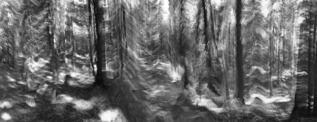 black and white photographic art using ICM and a swing-lens camera in a forest in Waterloo, Ontario, Canada