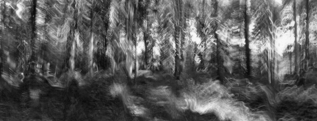 black and white photographic art using ICM and a swing-lens camera in a forest in Waterloo, Ontario, Canada