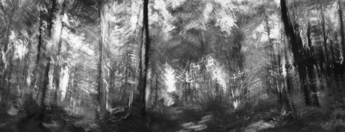 black and white photographic art using ICM and a swing-lens camera in a forest in Waterloo, Ontario, Canada