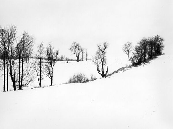 blank canvas #2
