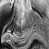 abstract black and white panoramic photographic art of forest in Waterloo, Ontario, Canada, using a swinglens camera and ICM