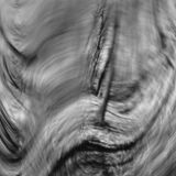 abstract black and white panoramic photographic art of forest in Waterloo, Ontario, Canada, using a swinglens camera and ICM