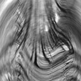 abstract black and white panoramic photographic art of forest in Waterloo, Ontario, Canada, using a swinglens camera and ICM