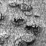 tortured landscape #1