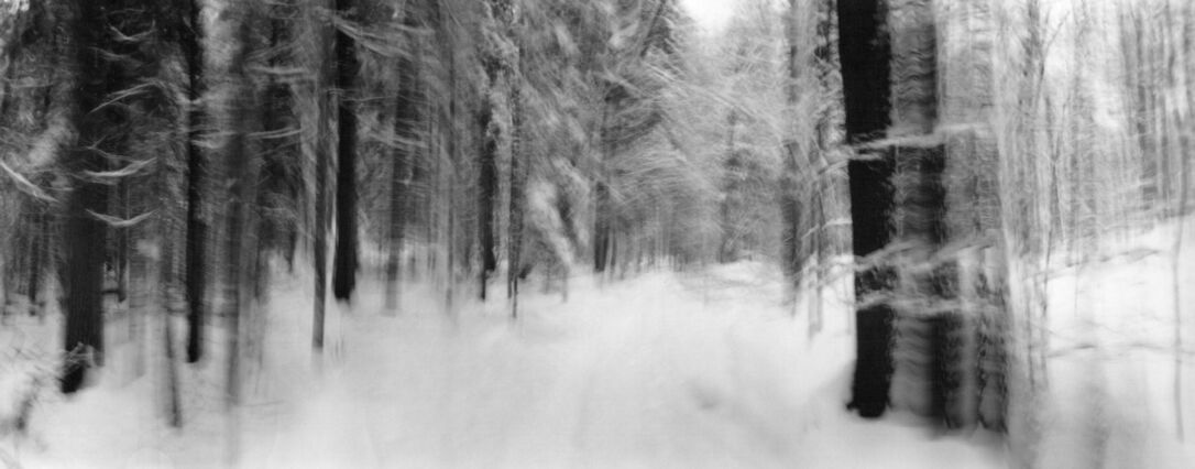black and white photographic art using ICM and a swing-lens camera in a winter forest in Waterloo, Ontario, Canada