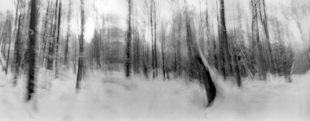 black and white photographic art using ICM and a swing-lens camera in a winter forest in Waterloo, Ontario, Canada