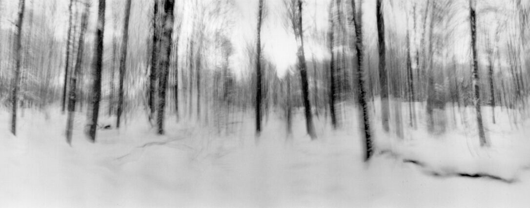black and white photographic art using ICM and a swing-lens camera in a winter forest in Waterloo, Ontario, Canada