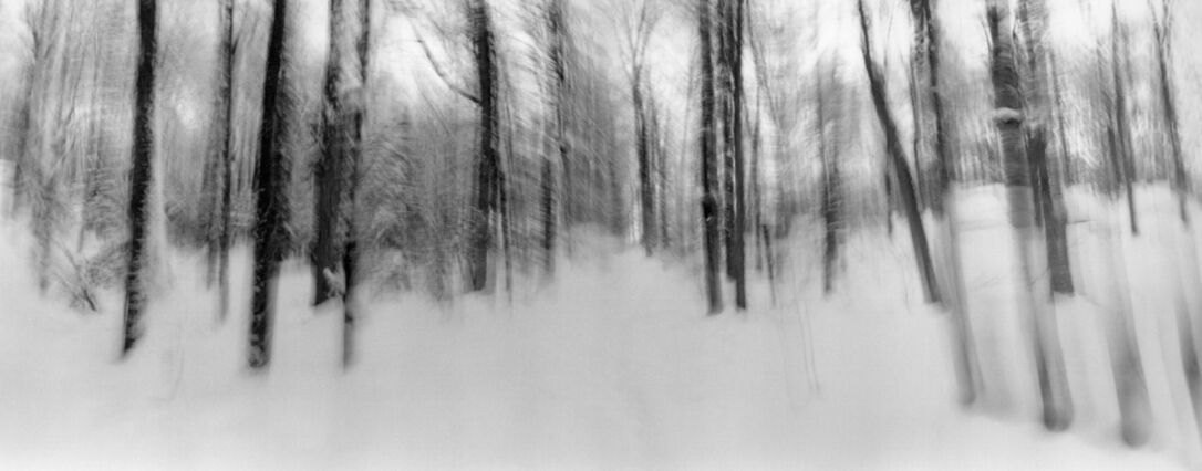 black and white photographic art using ICM and a swing-lens camera in a winter forest in Waterloo, Ontario, Canada