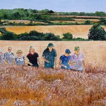 A walk through the cornfield