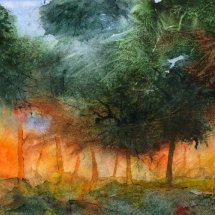 Autumn sunshine through the trees