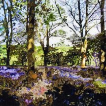 Bluebell Wood