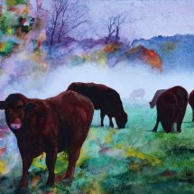 Cattle at Watermill Lane