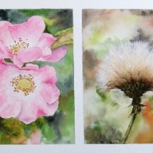 Four Seasons