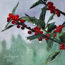 Holly in the rain