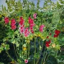 Hollyhocks