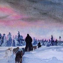 Husky- Sleigh Ride
