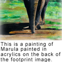 Painting-Marula-with-text