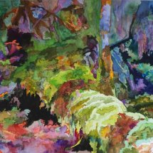 Rain Forest