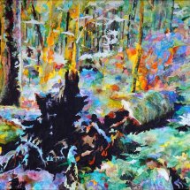 Rain Forest
