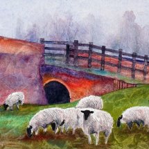 Sheep at Tombs Meadow