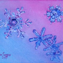 Snow Flakes