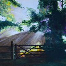 Sunlight through the-gate