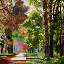 The road through the forest