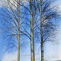 Three Trees