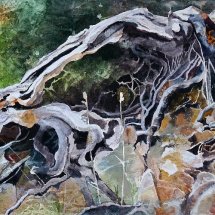 Twisted Tree