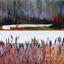 Winter at Tongwell Lake