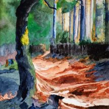 Woburn Woods