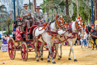 The Jerez Horse Fair